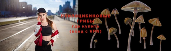 ALPHA-PVP Верея
