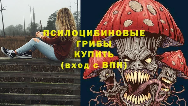 ALPHA-PVP Верея