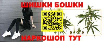 шишки Балахна