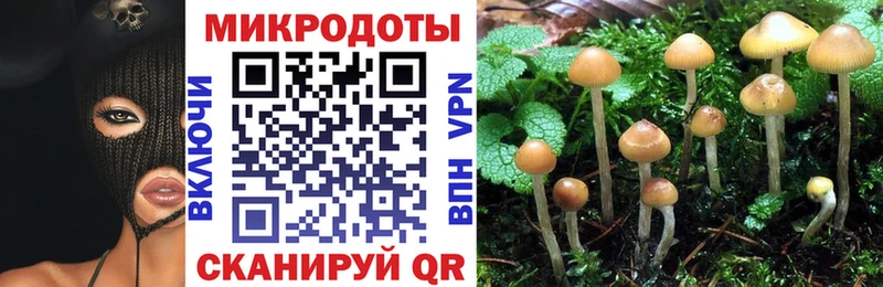 Псилоцибиновые грибы мицелий  где продают наркотики  нарко площадка Telegram  Елабуга 